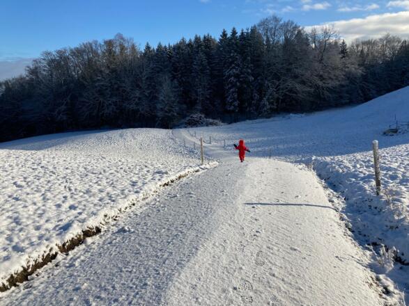 Der Abstieg zurück zur Straße