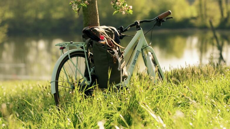 Velotour durch das Blütenmeer