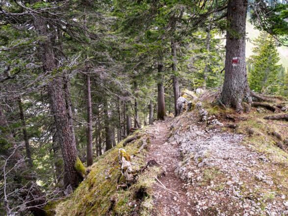 Abstieg erfolgt über einen schönen Pfad.