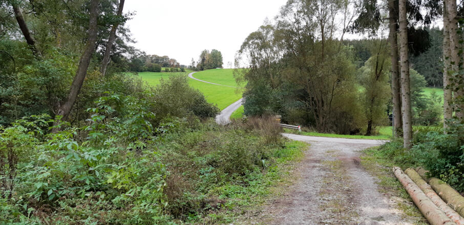 Im Grottenthal, Blick zurück in Richtung Labach