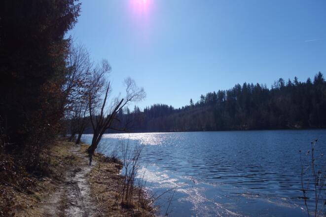 Pfade entlang der Ilz