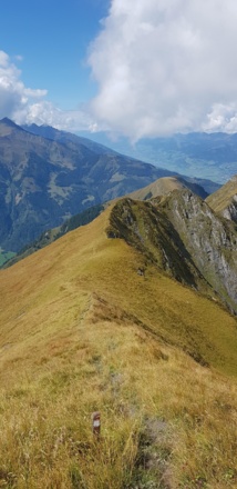 Abstieg zur Heubergscharte