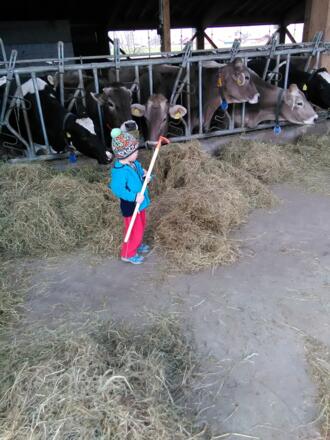 Kleine fleißige helfer im Stall