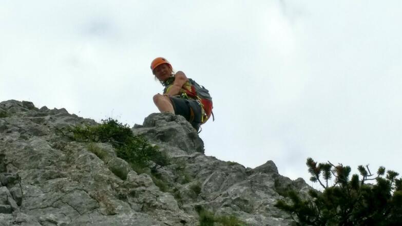 Metamorphose eines weiblichen Steinbocks