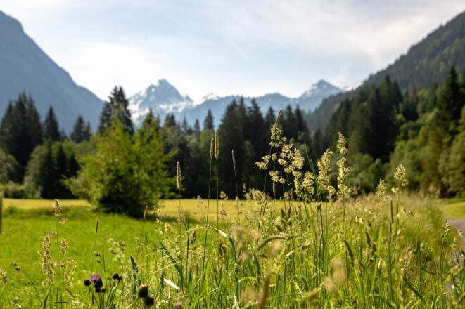 Talweg von St. Gallenkirch nach Partenen