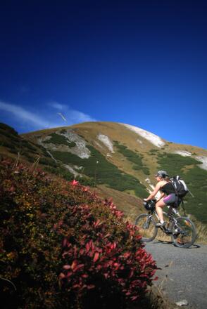 Tour 523, knapp unterhalb der Blaser Hütte