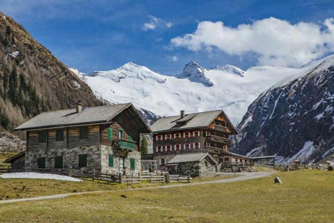 Alpenrose im Smaragdtal Habach