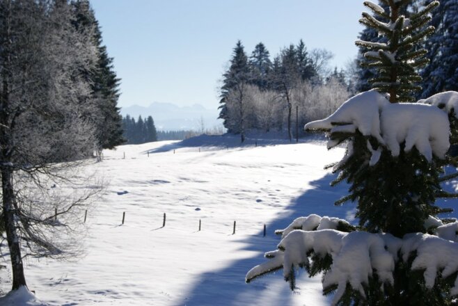 * * Wintertag * *