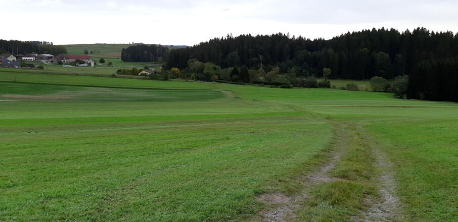 Von Summerau in die Kranklau