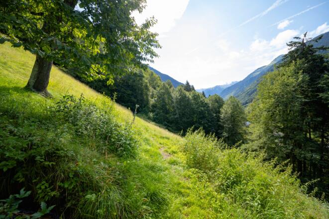 Blick Richtung St.Gallenkirch