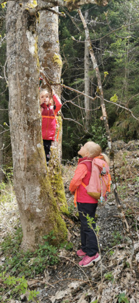 Geocaching Powertrail in Saalbach