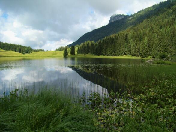 Ausflugsziel Seewaldsee