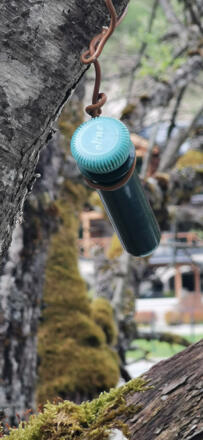 Geocaching Powertrail in Saalbach