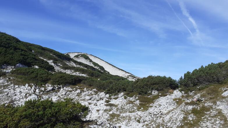Höllkogel im Blick um 1670m