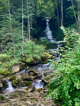 natur.BANK.wege | Weyer | Hobischalm | 333507 - Hammergraben