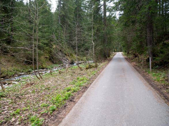 steile Teerstraße entlang des Schiffbachs