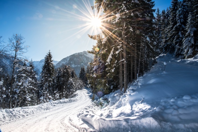 Am Winterwanderweg hoch zur Winklalm