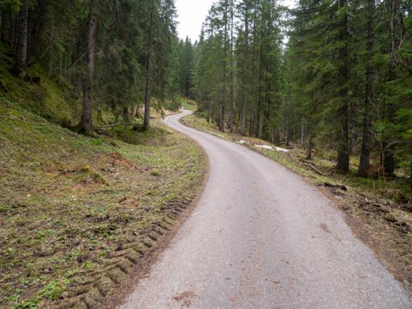 nur noch wenige 100m bis zum Bikeparkplatz