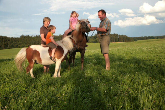 Zwei Kinder sitzen auf Ponys. Die Eltern stehen daneben.