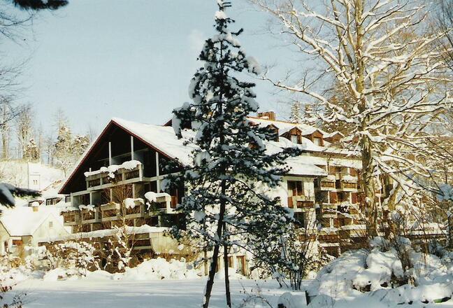 Europarkhotel im Winter