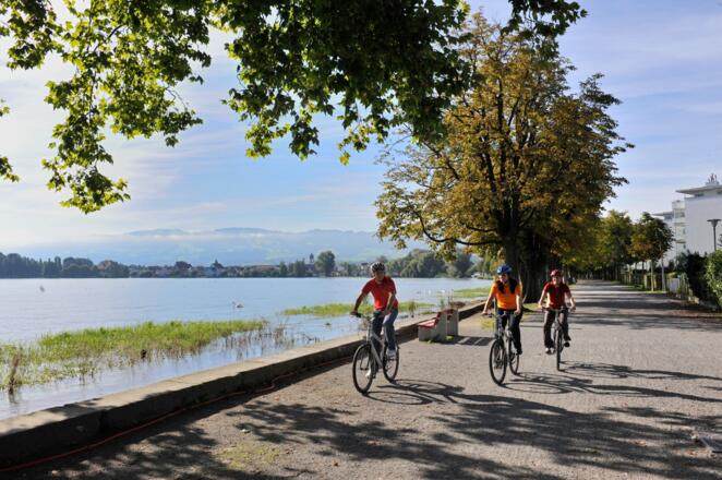 Entlang des Bodensees hat man auf der Rheinroute das kühle Nass stets im Blick.