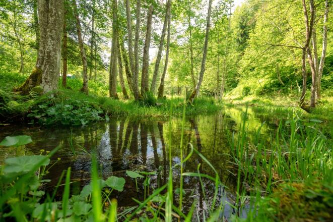 Talweg von St. Gallenkirch nach Partenen