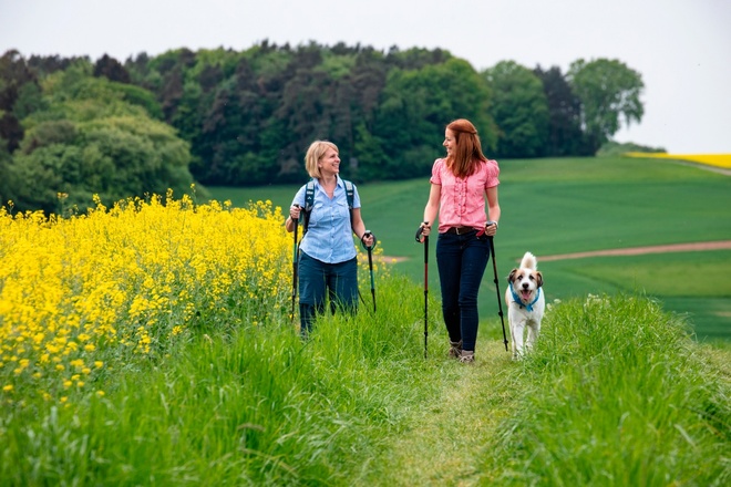 Nordic-Walking im RÄUBERLAND - Das Herz im Spessart