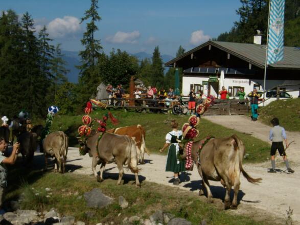Almabtrieb am Königsee