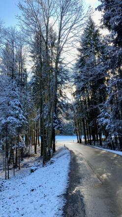 Entlang der Straße bis Frauenried