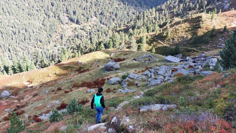 Kurz oberhalb der Gwannschafalm. Dort münden wir in den Gwannsteig ein.
