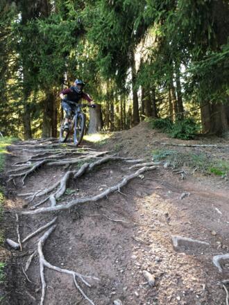 Wurzeliges Stück in der Mitte des Fleckalm Trails