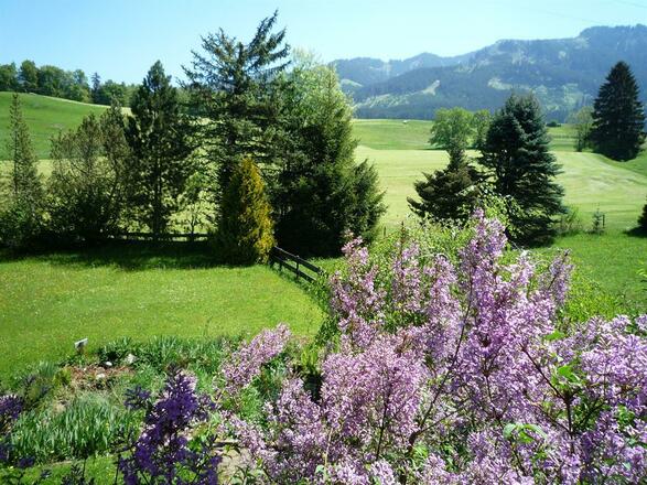 Blick in den Garten und auf die Sonnenköpfe