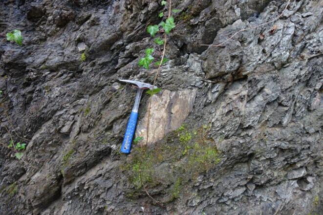 Feuerstätter Flysch: Junghansenschichten (Tonsteine mit großem exotischem Geröll)