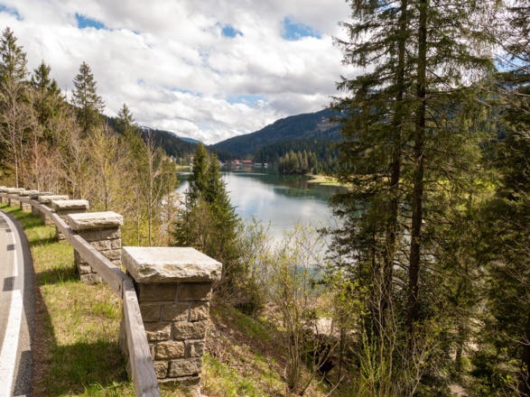 Am Spitzingsee