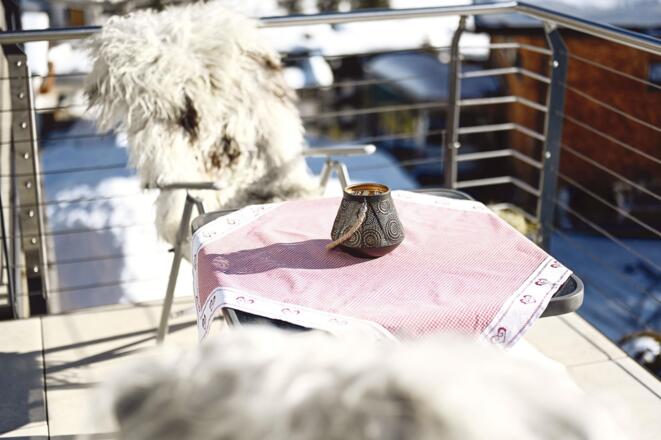 hausdrmuxel_appartement_omeshorn_balkon-1