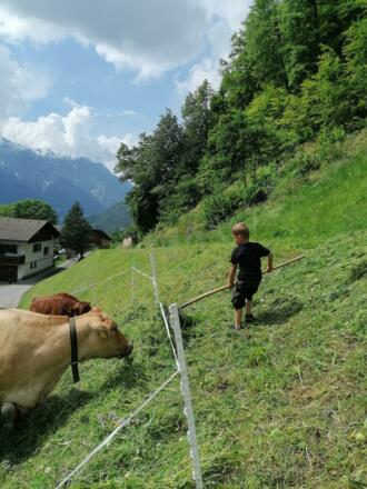 Bei der Arbeit