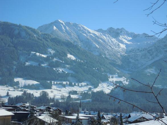 Blick auf das Nebelhorn