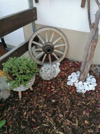 IMG_20210720_174351