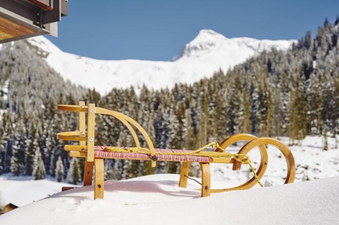 hausdrmuxel_winterrodel