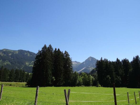 Allgäu-Sommer - 6
