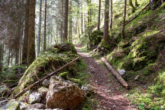 Am Anfang fürh die Wanderung durch eine verwunschenn Felssturzregion