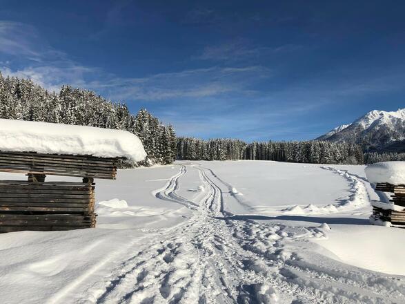 49803097_1173021236188722_1389225975258021888_o