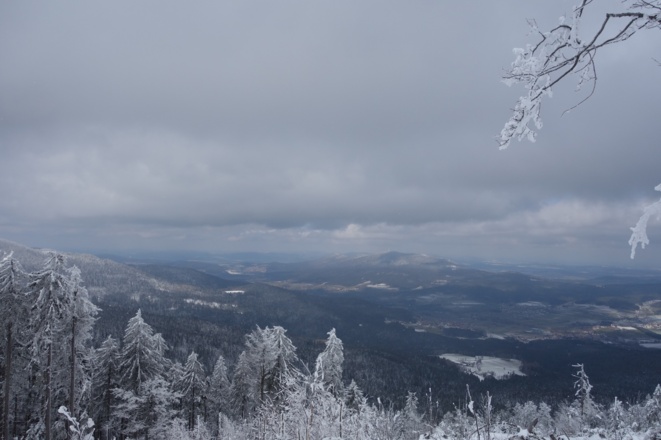 Aussicht vom Ödriegel