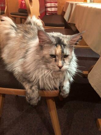 Zoe im Haus Hanni