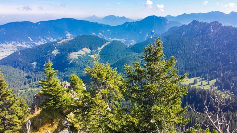 Blick vom Teufelstättkopf