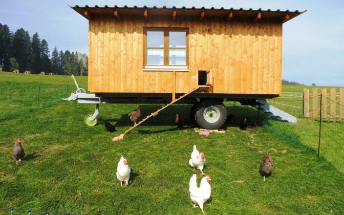 Hier werden die Eier geholt