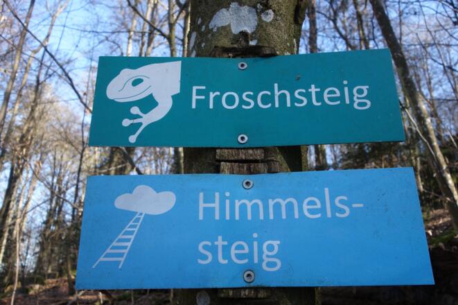 Die Pfade im Schlosspark sind sehenswert