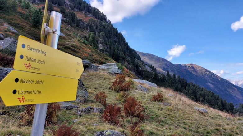 Auf dem Gwannsteig geht es zum Tulfeinjöchl.