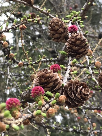 Frühling