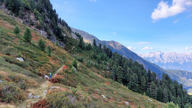 Abwechslungsreich und landschaftlich reizvoll - der Gwannsteig.
